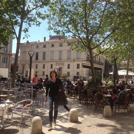 La Suite Du Jeune Homme Montpellier Dış mekan fotoğraf